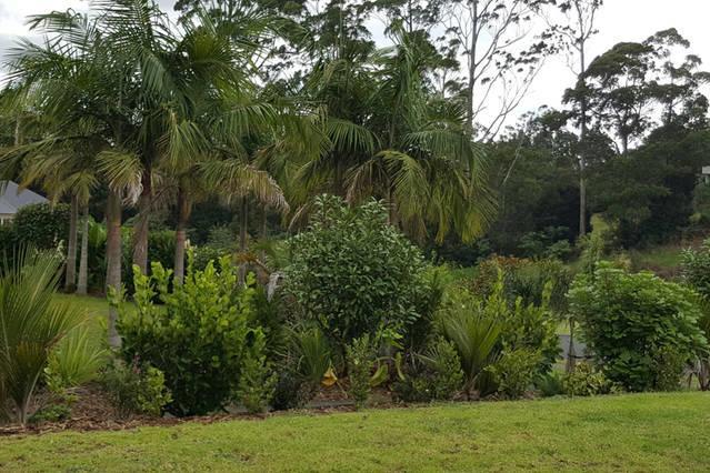 Kerikeri Blue Chair B&B Exterior photo